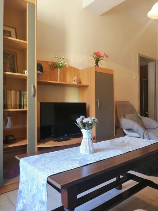 Apartment Micaela Póla Kültér fotó