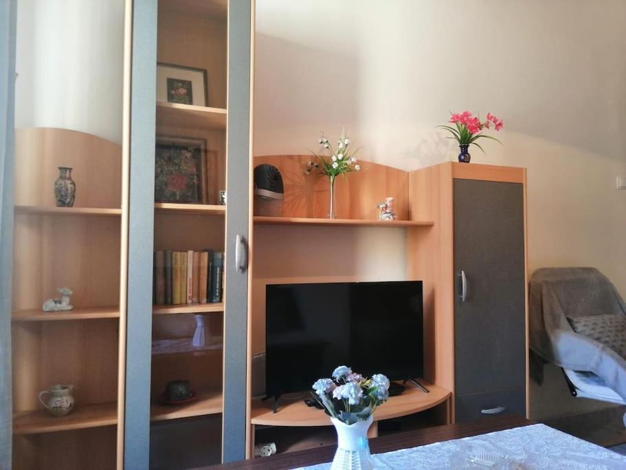Apartment Micaela Póla Kültér fotó